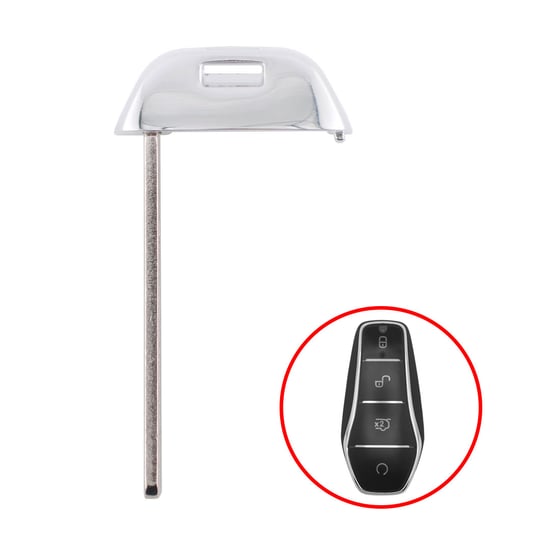 BYD 2024 Smart Key Blade