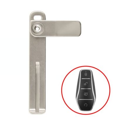 BYD 2025 Smart Remote Blade