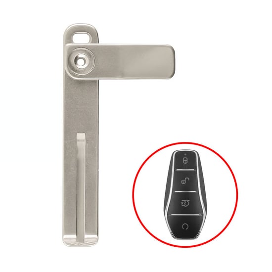 BYD 2025 Smart Remote Blade